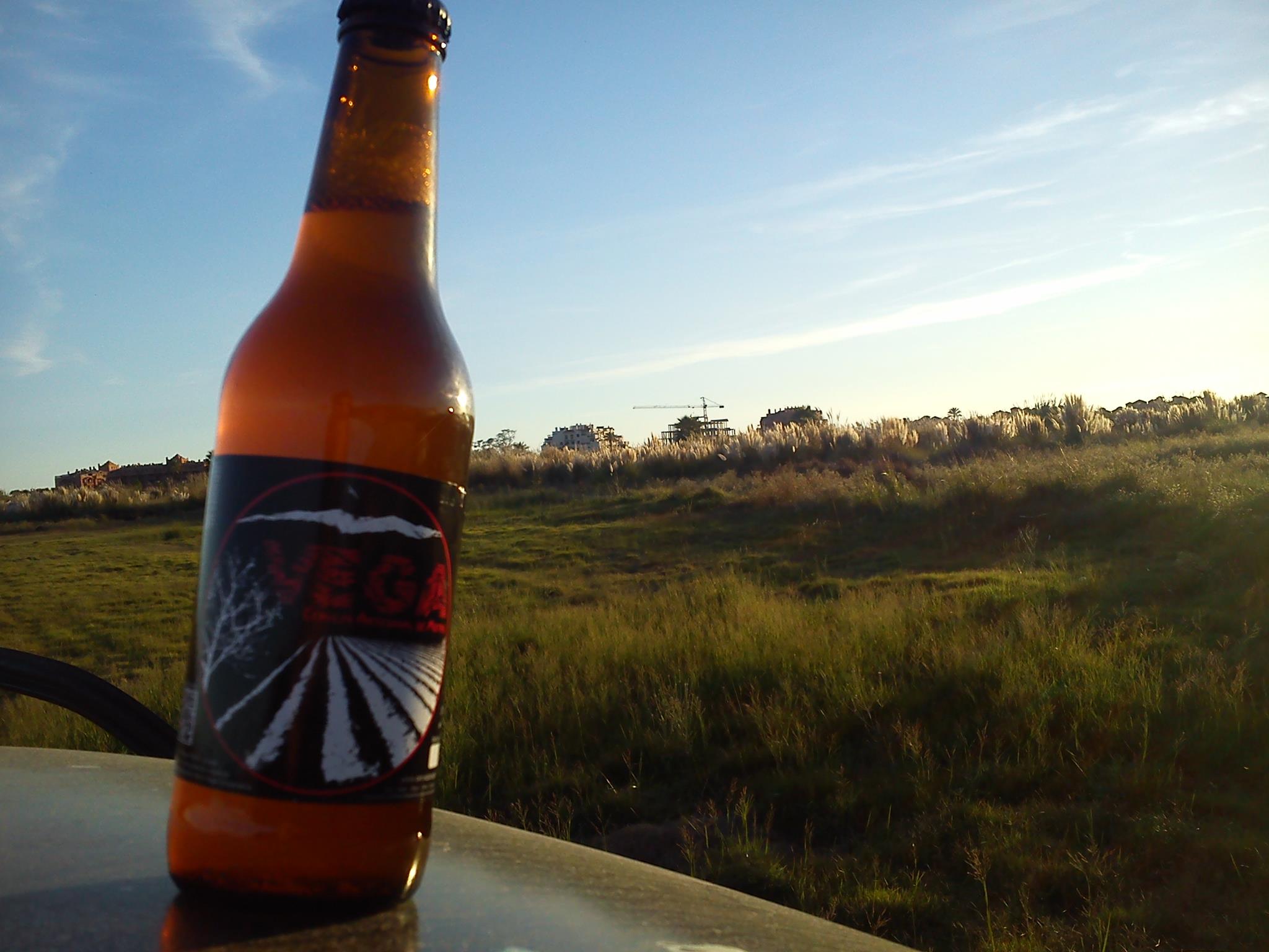 imagen destacada cerveza vega